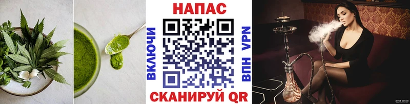 Canna-Cookies конопля  Снежногорск 