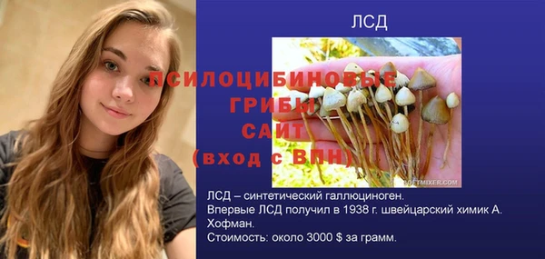 каннабис Аркадак