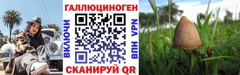купить закладку  Снежногорск  Галлюциногенные грибы GOLDEN TEACHER 
